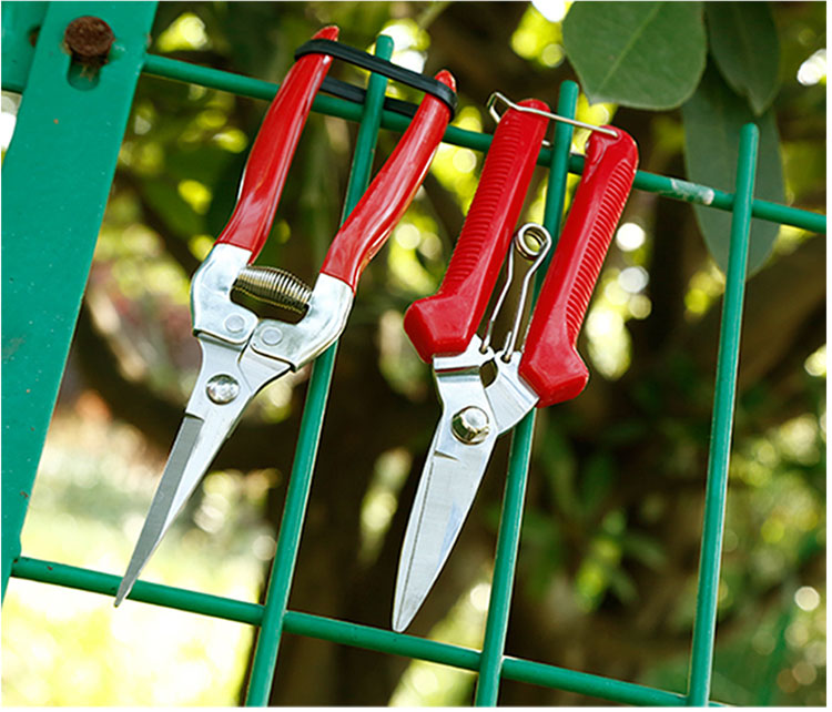 homeglen 葡萄剪刀疏花疏果摘果剪稀果剪盆景修枝园艺园林花枝剪花艺