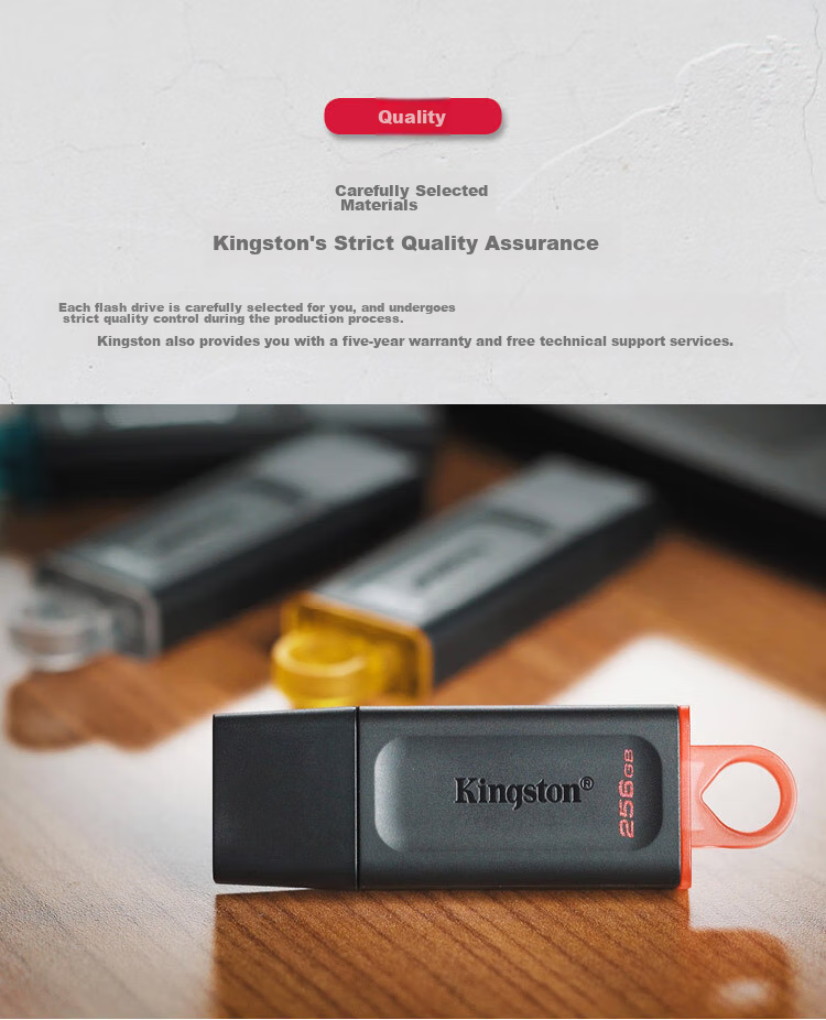 Kingston 256GB USB3.2 Gen 1 Flash Drive DTX High-Capacity USB Drive Stylish Design Lightweight Portable for Study, Office Work, Bidding, Computer And Car Use 7
