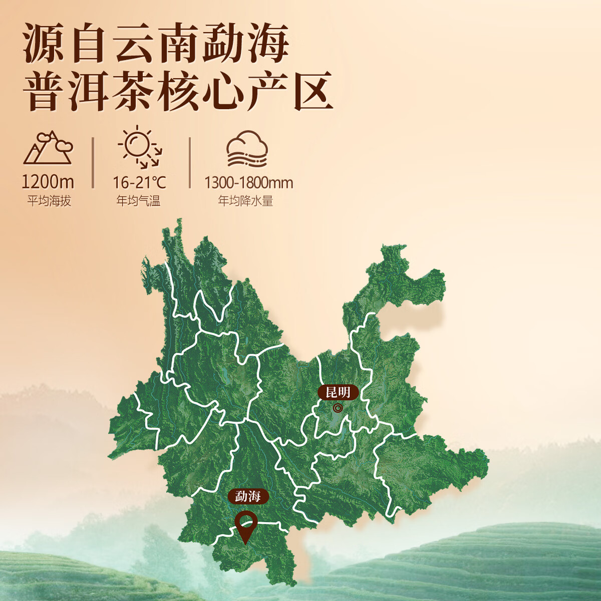 忆江南普洱茶叶礼盒勐海熟普357g散茶黑茶节日送礼送长辈的礼物