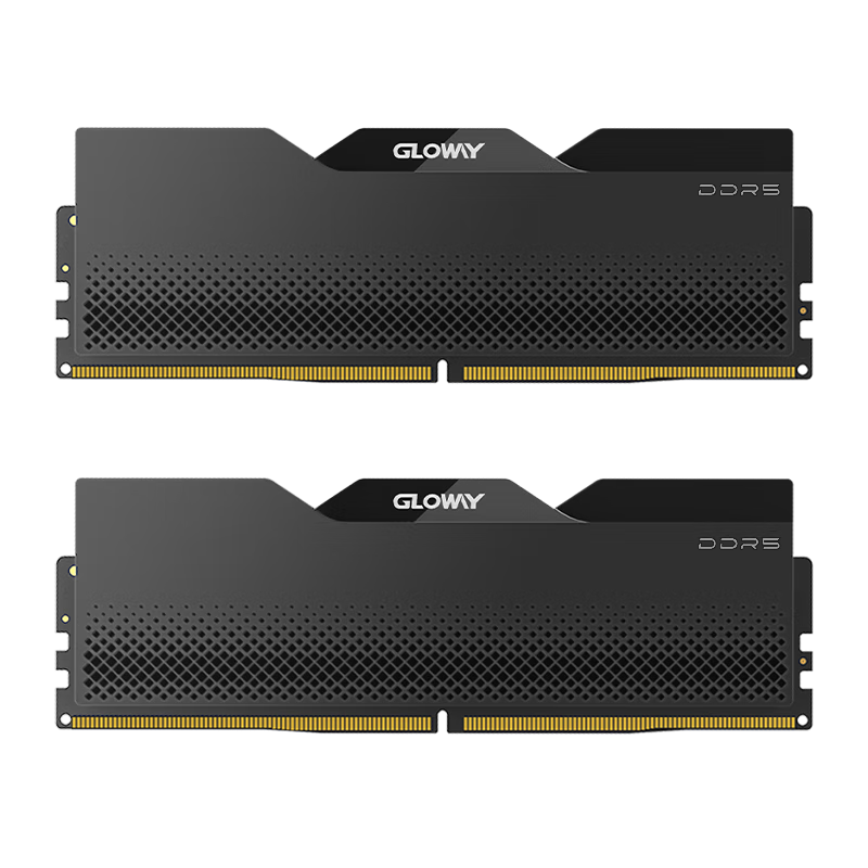 Gloway 32GB (16GB X 2) DDR5 6400 Desktop Memory Module, Longwu V-Bank, Micron Chips, CL38, Starry Black, AI Computer Accessory Upgrade