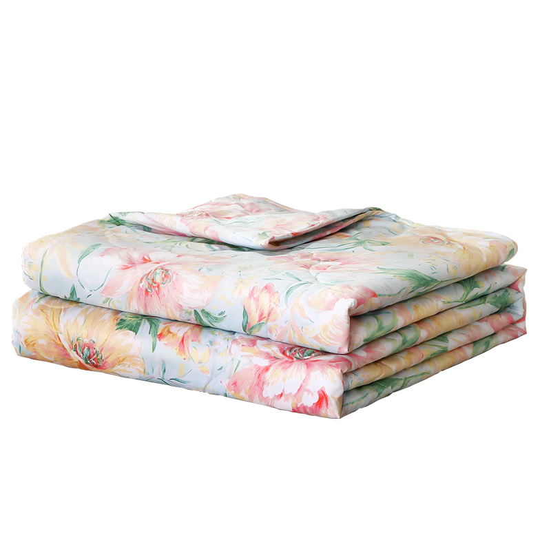 FUANNA Summer Cooling Quilt, Washable Air Conditioning Quilt, Seven-Hole Double Antibacterial Summer Blanket without Duvet Cover, Quilt Insert, 3 Jin, 230x229cm