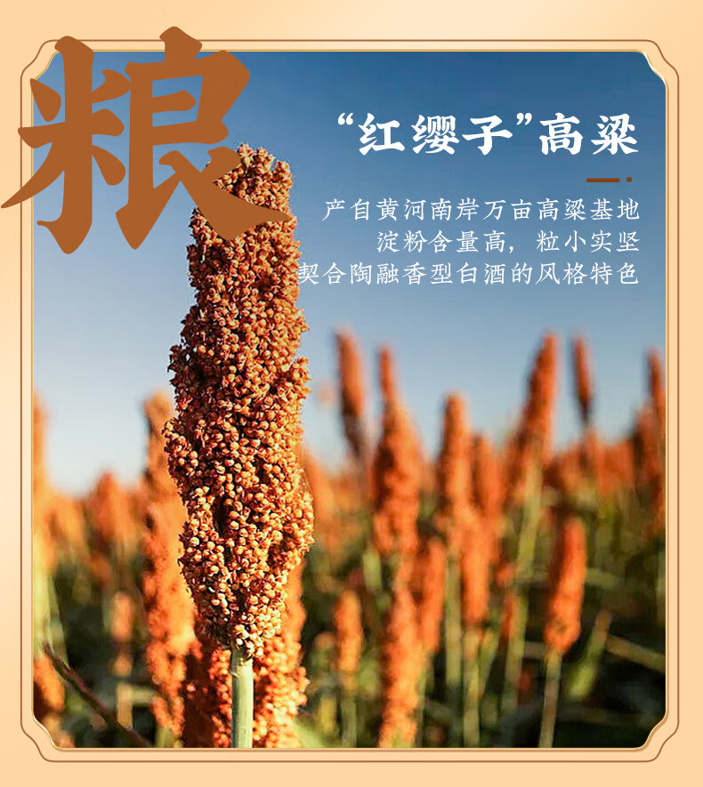 详情图.png