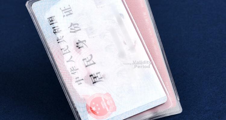 DiLe Transparent Frosted Card Holder for ID Cards, IC Cards, Social Security Cards, Bus Cards, Membership Cards, Protective Case 6513 (Pack of 40) 12