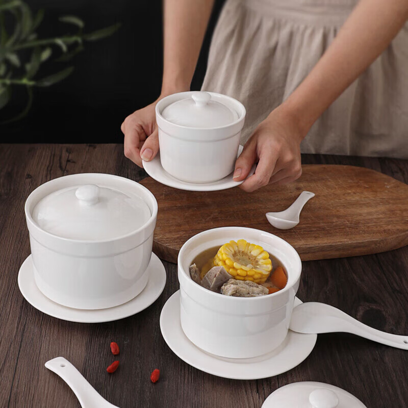 Beisesi Ceramic Bowl, Stew Pot, Double Boiler Pot, Soup Pot, Steamed Egg Custard Bowl, Steaming Pot, Clay Jar, Stew Pot, Bird's Nest Pot with Lid And Spoon, 420ml