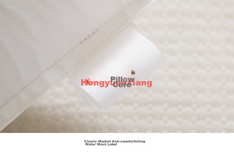 Hengyuanxiang Pure Cotton Pillow Insert, Backrest Cushion, Square Sofa Pillow, 50*50cm 11