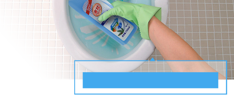 洛娃 洁厕液750mlx2瓶 松木香洁厕灵