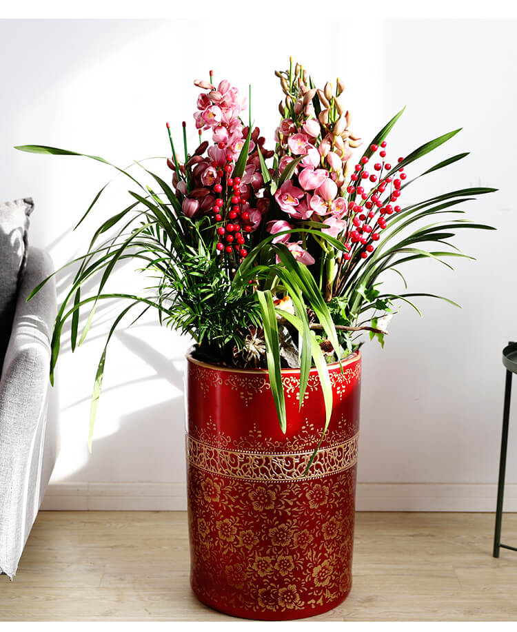 0kg 商品产地:中国大陆 种类:花卉 是否含花盆