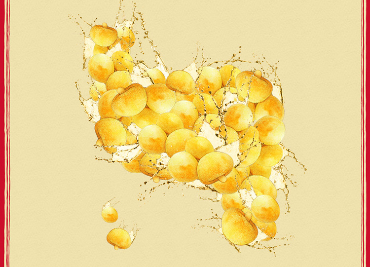 江中集团 猴姑酥性饼干720g(30包)15天装 猴头菇制成