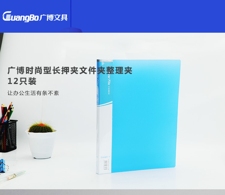 广博(GuangBo)12只装高质感A4文件夹板(长押夹+插页)办公用品WJ6603-京东