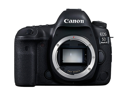 蒂森特（dste）LP-E6 适用 佳能 CANON 5DS R 5D2 5D3 7D2 60D 7D 6D 70D 60Da 单反相机电池 备电-京东