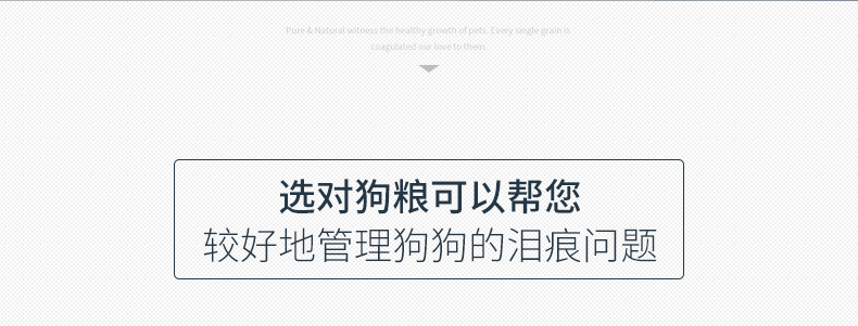 【京东joy联名款】伯纳天纯（Pure&Natural）宠物狗粮 鸡肉樱桃小型犬全价成年犬粮 2kg-京东
