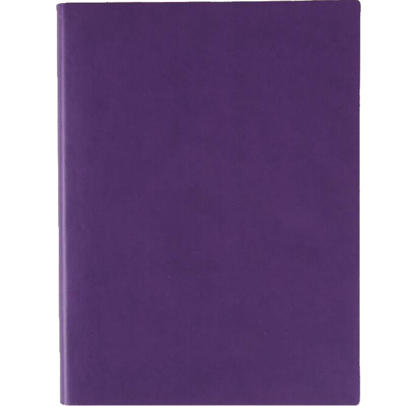 TRNFA TB-Z2191 (Purple 16K), Colorful Fashionable Imported Chameleon PU Notebook, High-End Business Journal, Soft Leather Cover Memo Pad, Creative Office Stationery