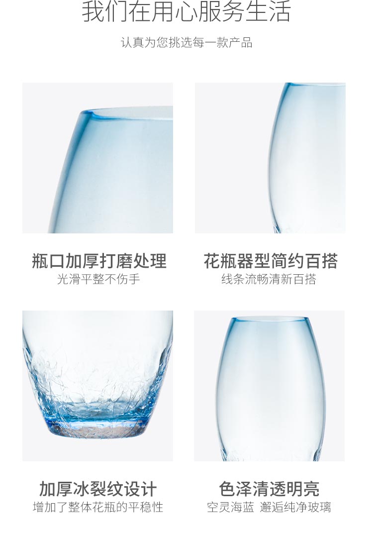 佳佰 佳佰 美式欧式冰裂玻璃花瓶 简约现代客厅玄关插花花瓶 ...-京东