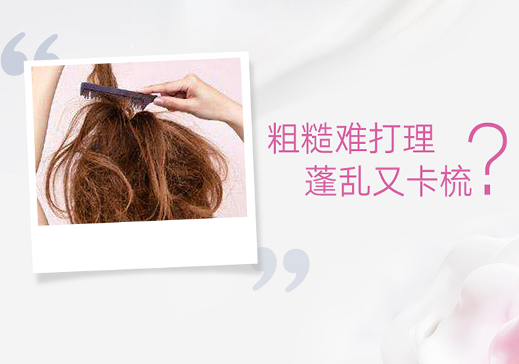 多芬(DOVE)洗发水 日常滋养修护洗发乳700ml(新旧包...-京东