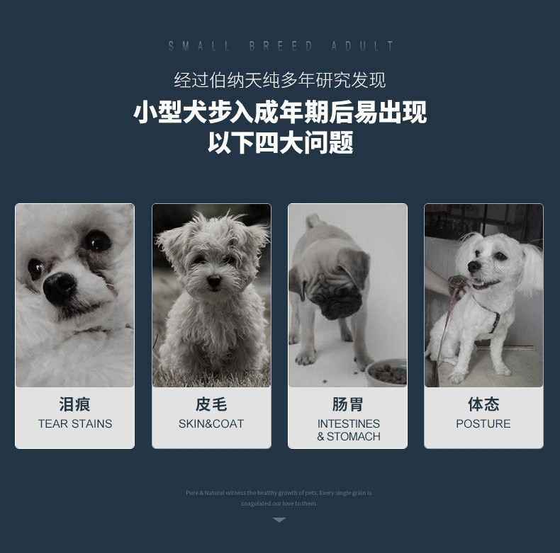 【京东joy联名款】伯纳天纯（Pure&Natural）宠物狗粮 鸡肉樱桃小型犬全价成年犬粮 2kg-京东