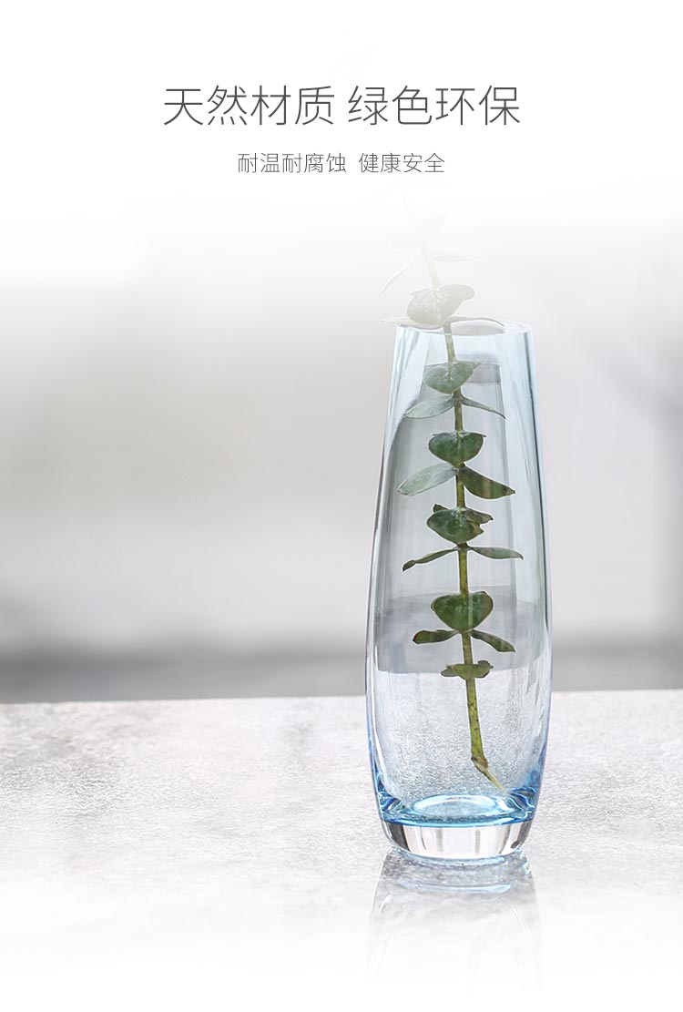 佳佰 佳佰 现代简约小清新彩色水培玻璃花瓶创意餐桌摆件一枝花...-京东