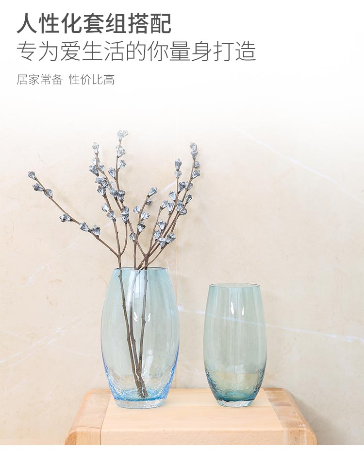 佳佰 佳佰 创意冰裂纹花瓶玻璃个性客厅欧式摆件 简约家居装饰...-京东