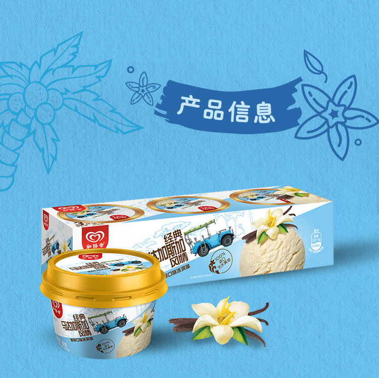 和路雪 经典马达加斯加风情 香草口味 冰淇淋组合装 88g*3杯