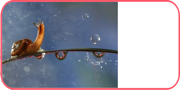 茗朵芦荟固墙宝基膜 茗朵