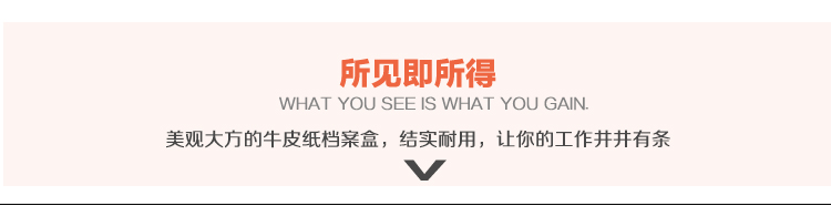 广博(GuangBo)30只装牛皮纸档案袋/文件袋/办公用品 EN-14-京东