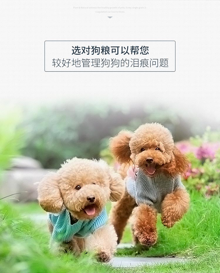 【京东joy联名款】伯纳天纯（Pure&Natural）宠物狗粮 鸡肉樱桃小型犬全价成年犬粮 10kg-京东