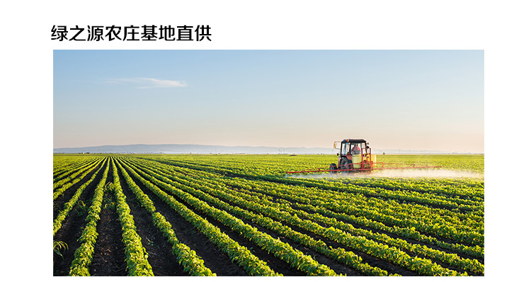 绿之源农庄 精品薏米 薏仁米 东北杂粮 200g(无添加 五谷 粗粮 粥米