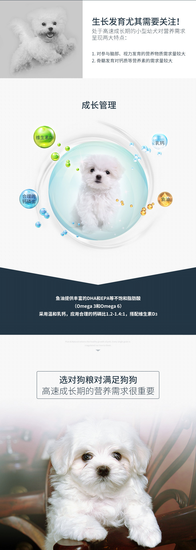 【京东joy联名款】伯纳天纯（Pure&Natural）宠物狗粮 伯纳天纯PureNatural鸡肉樱桃小型犬全价幼犬粮 10kg-京东