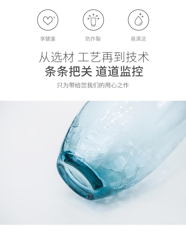 佳佰 佳佰 创意冰裂纹花瓶玻璃个性客厅欧式摆件 简约家居装饰...-京东