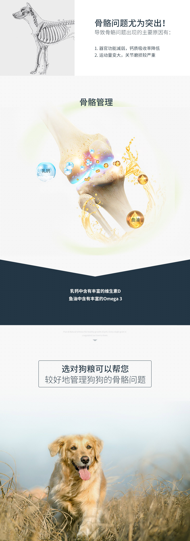 【京东joy联名款】伯纳天纯（Pure&Natural）宠物狗粮 黑山羊蔓越莓中/大型犬全价成年犬粮 15kg-京东