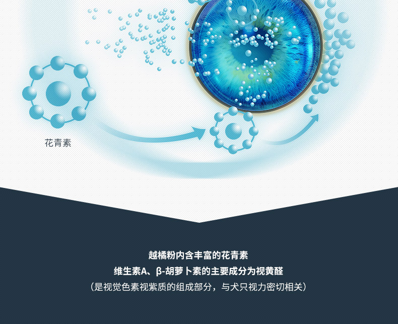【京东joy联名款】伯纳天纯（Pure&Natural）宠物狗粮 鸡肉樱桃小型犬全价成年犬粮 2kg-京东