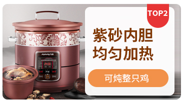 九阳（Joyoung）快炖  5L 电炖锅 电炖盅 紫砂 砂...-京东