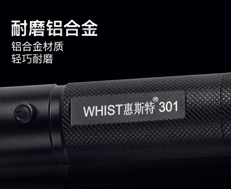 惠斯特（Whist）301 激光笔 绿光 激光手电 液晶屏指示笔 绿光充电