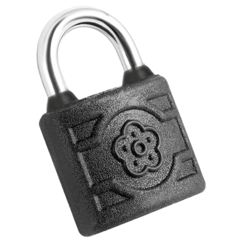 BLOSSOM Waterproof Padlock for School And Home Use, Door Lock, Cabinet Lock, Drawer Lock, 32mm Electric Meter Box Lock BC9132