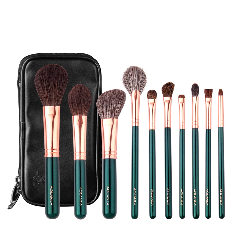 AOLANLA Master-Level 10-Piece Makeup Brush Set with Animal Hair, Loose Powder And Eyeshadow Brushes, Brush Case, Holiday Gift for Girlfriend