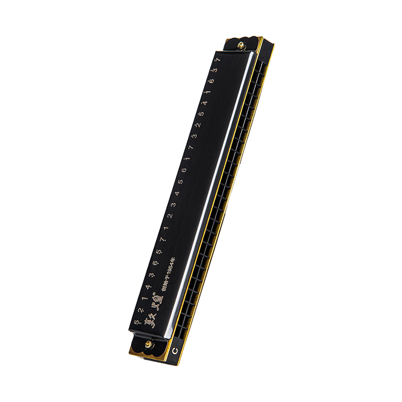 Dunhuang 24-Hole Polyphonic Harmonica DN24-1, Black, Recommended for Adult Beginners, Key of C, Entry-Level Performance