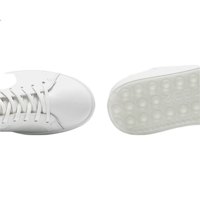 White Image 3