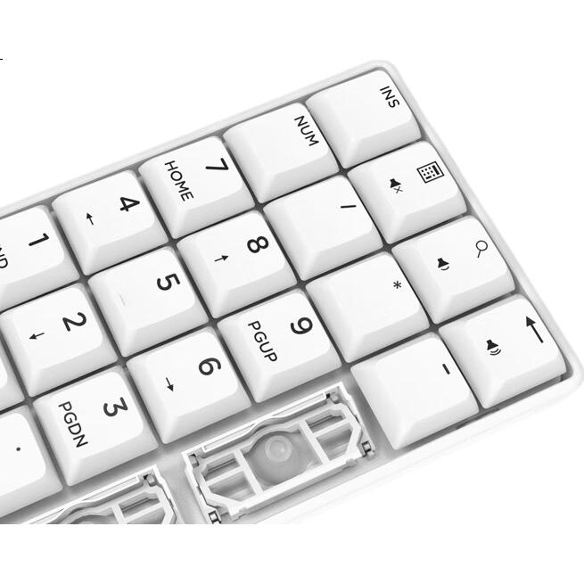 White Image 3