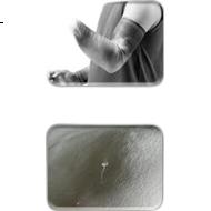 White Image 2