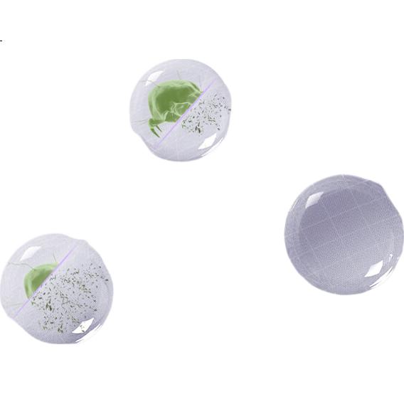 White Image 2