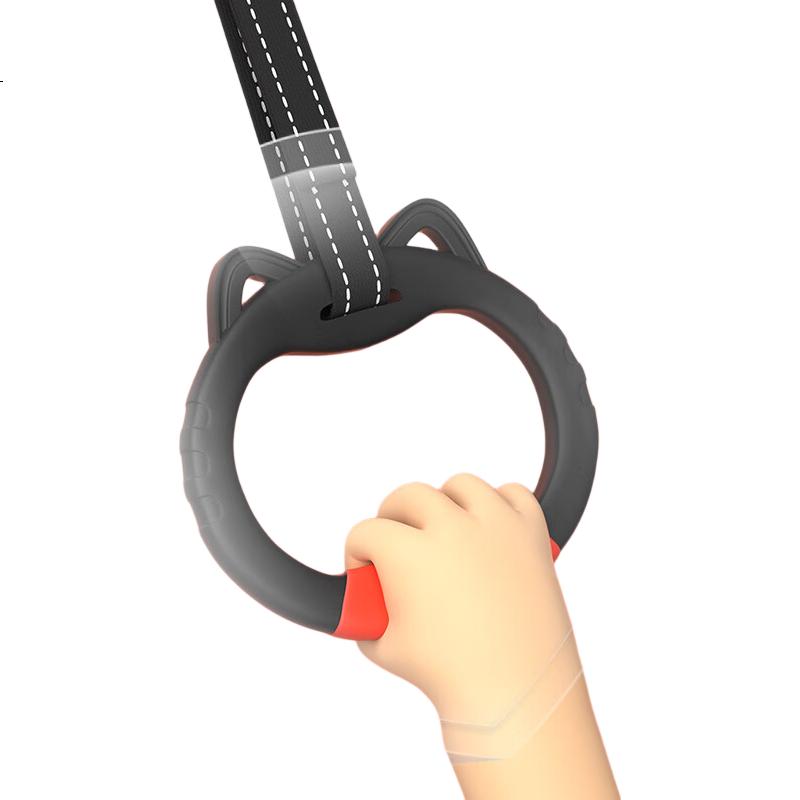 PEAK Children's Home Fitness Pull-Up Rings for Shoulder, Waist And Neck Exercises, Single Bar with Rings, One Pair