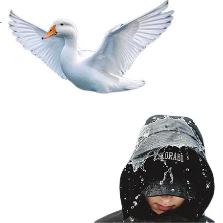 White Image 1