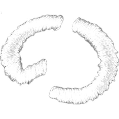 White Image 2