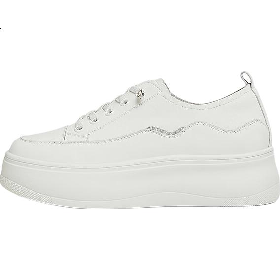White Image 1