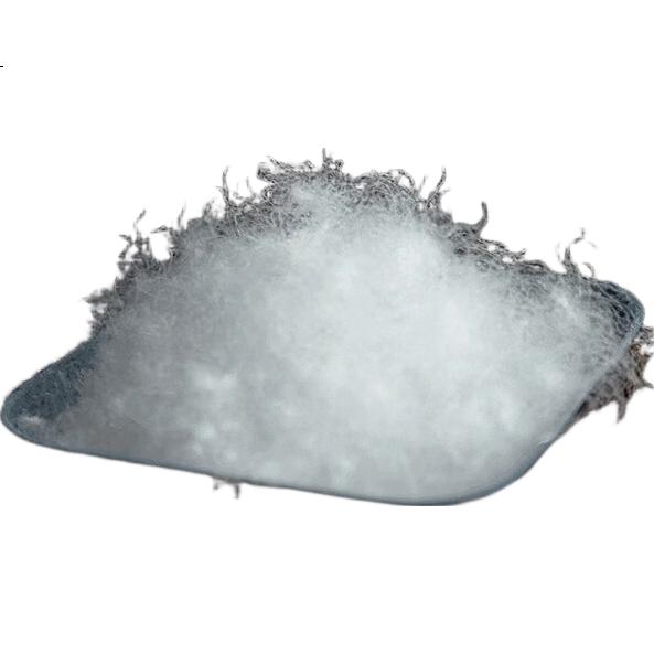 White Image 2