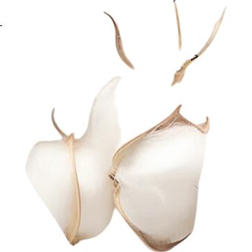 White Image 3