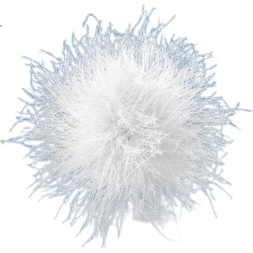 White Image 2