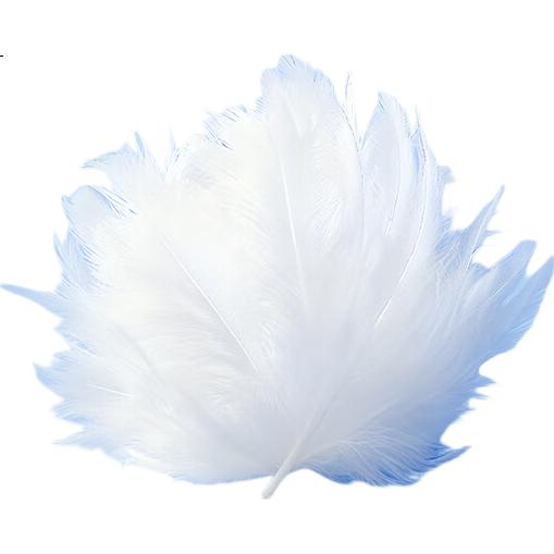 White Image 1