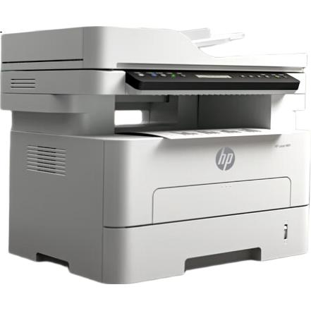 White Image 1
