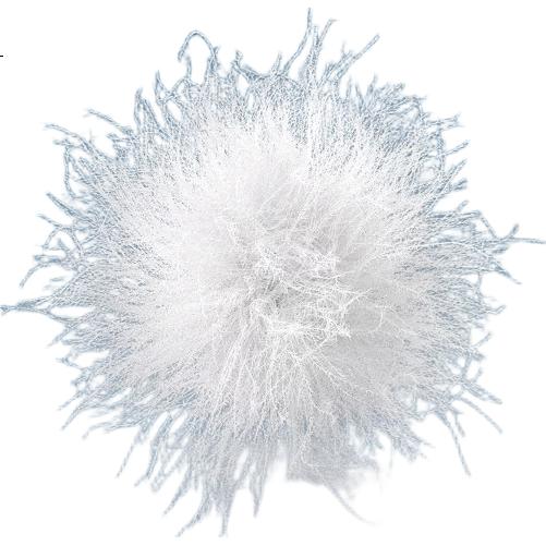 White Image 3
