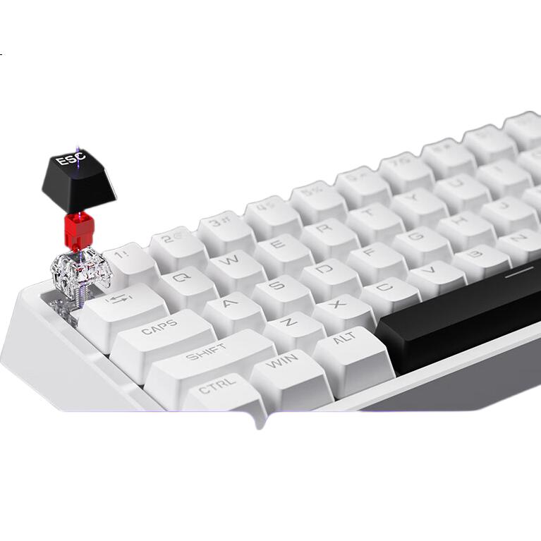 White Image 2